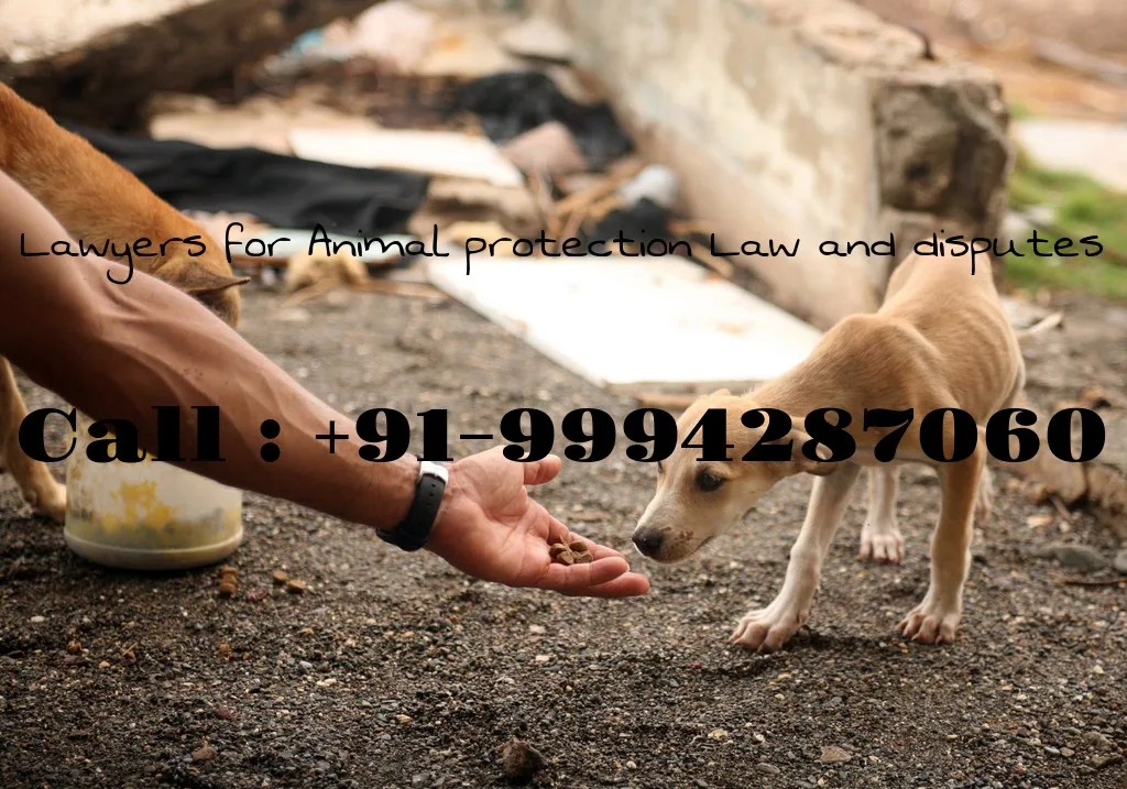 Advocates for Animal protection Law and Blue cross disputes