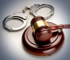 Top Criminal advocate in Chennai