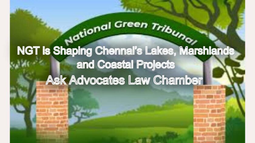 How NGT is Shaping Chennai’s Lakes, Marshlands, and Coastal Projects